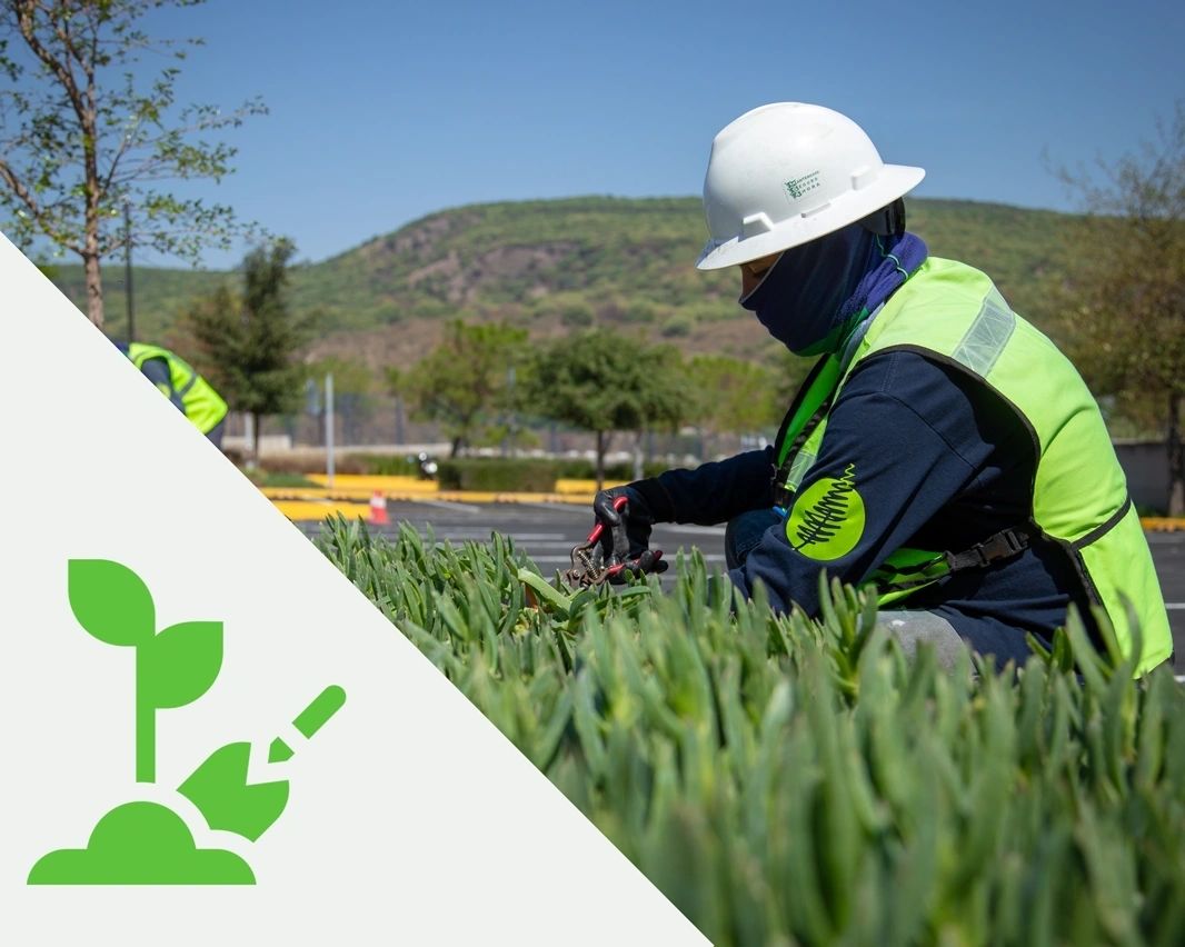 ABP landscaping and gardening project in Guadalajara